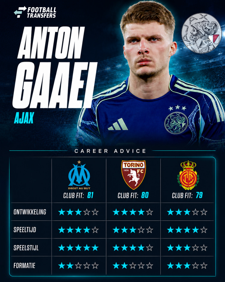 Waar past Anton Gaaei het best?