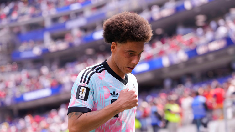 Axel Witsel