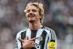 Nick Woltemade, Newcastle