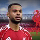 Cody Gakpo, Liverpool