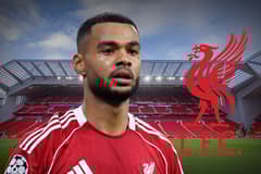 Cody Gakpo, Liverpool