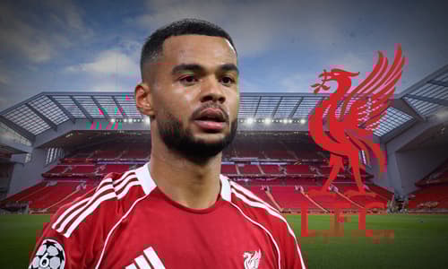 Cody Gakpo, Liverpool