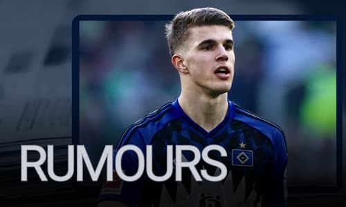 Luka Vuskovic, rumours