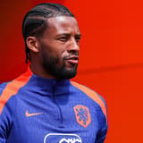 Georginio Wijnaldum