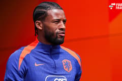 Georginio Wijnaldum
