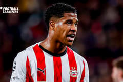 Ryan Flamingo, PSV