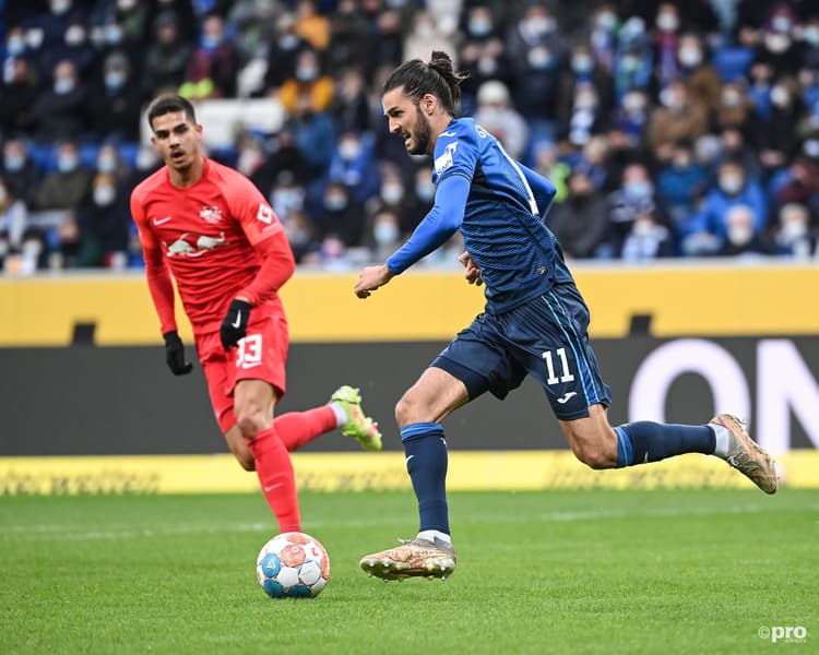 Hoffenheim midfielder Florian Grillitsch