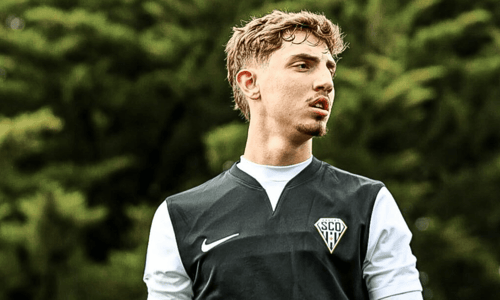 Aleks Zeković, Angers SCO