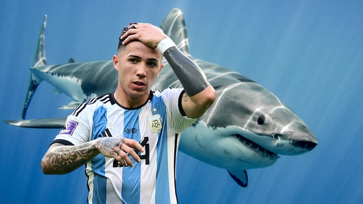 Enzo Fernandez, Argentina, World Cup 2022