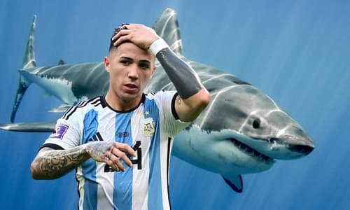 Enzo Fernandez, Argentina, World Cup 2022