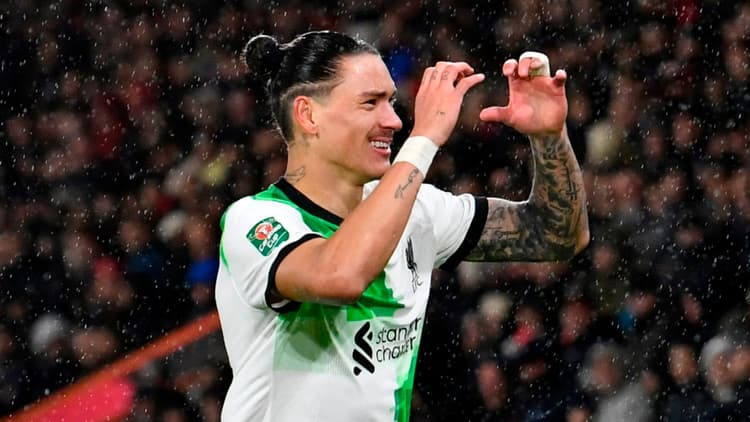 Darwin Nunez has split opinion since his move to Liverpool