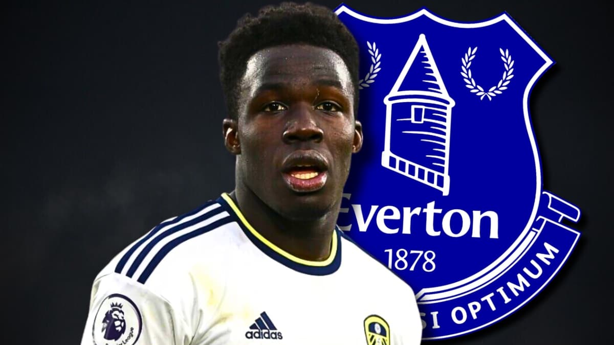 Wilfried Gnonto, Everton