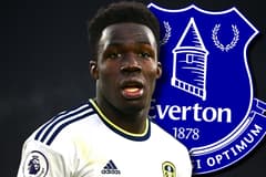 Wilfried Gnonto, Everton