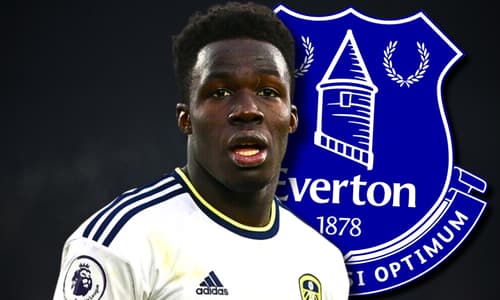 Wilfried Gnonto, Everton