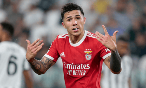 Enzo Fernandez plays for Benfica