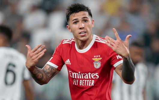 Enzo Fernandez plays for Benfica