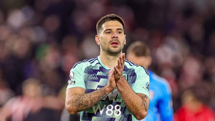 Aleksandar Mitrovic