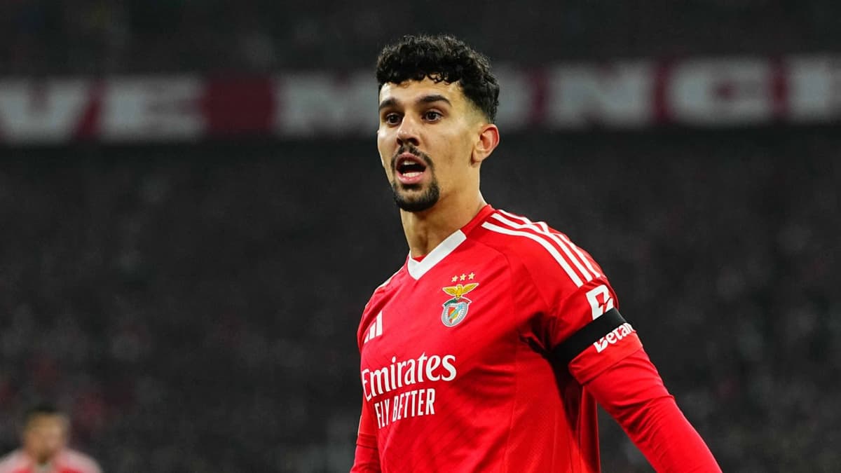 Tomas Araujo, Benfica