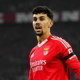 Tomas Araujo, Benfica
