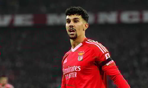 Tomas Araujo, Benfica