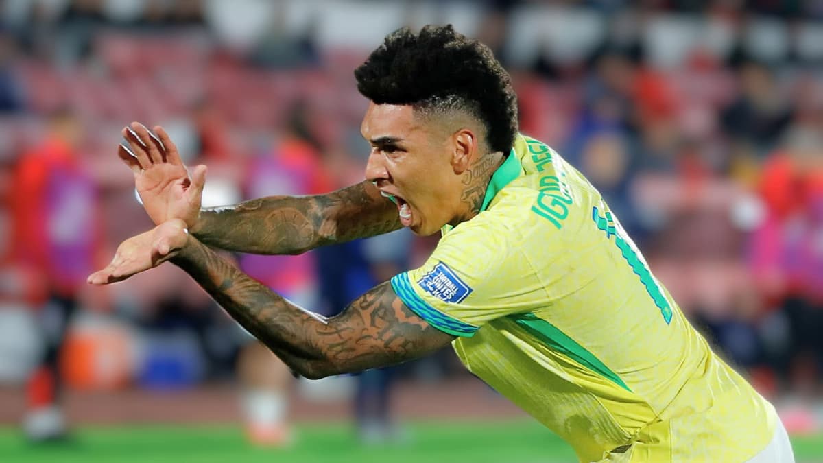 Igor Jesus, Brazil, 2024