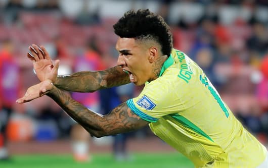 Igor Jesus, Brazil, 2024