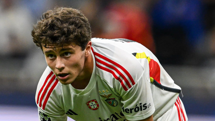 Joao Neves, Benfica