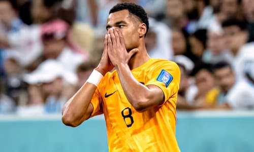 Cody Gakpo, Netherlands, World Cup 2022