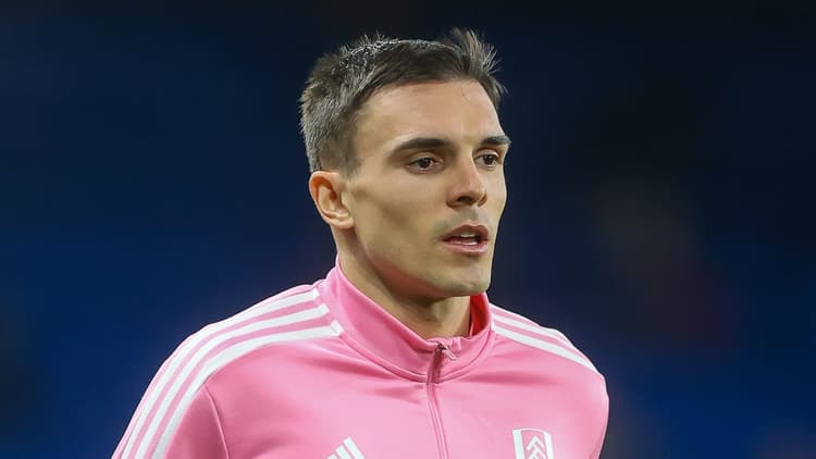 Joao Palhinha, Fulham