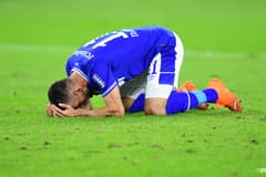 Schalke sack Ibisevic and suspend Harit and Bentaleb