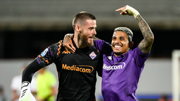 David de Gea has been in excellent form at Fiorentina