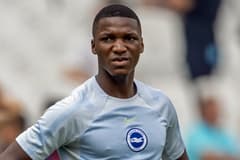 Brighton's Moises Caicedo