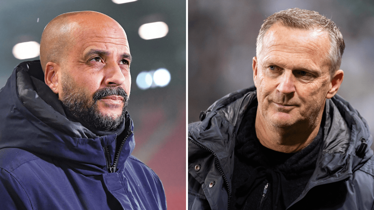 Pascal Jansen, John van den Brom, 2023/24