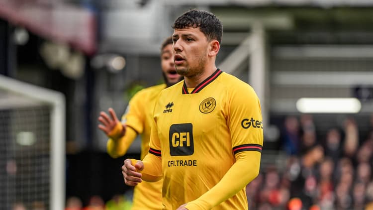 Gustavo Hamer, Sheffield United