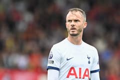 James Maddison, Tottenham