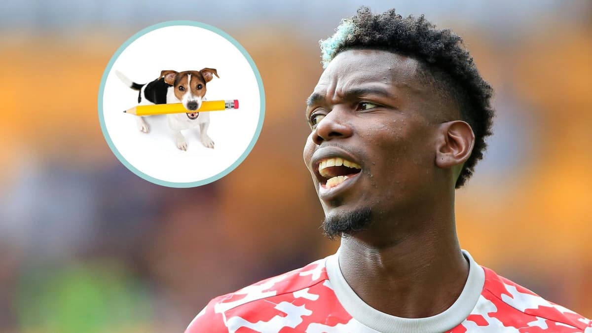 Paul Pogba, dog