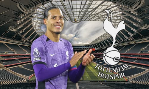 Virgil van Dijk, Tottenham