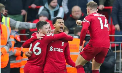 Cody Gakpo, Liverpool, 2022-23