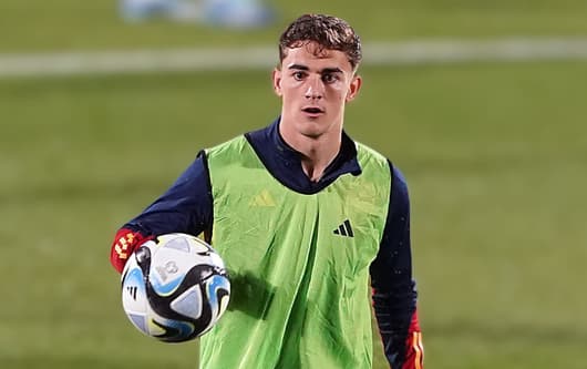 Gavi suffered a cruciate ligament injury on Spain duty