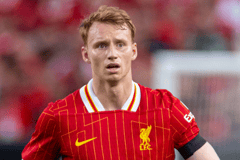 Sepp van den Berg, Liverpool