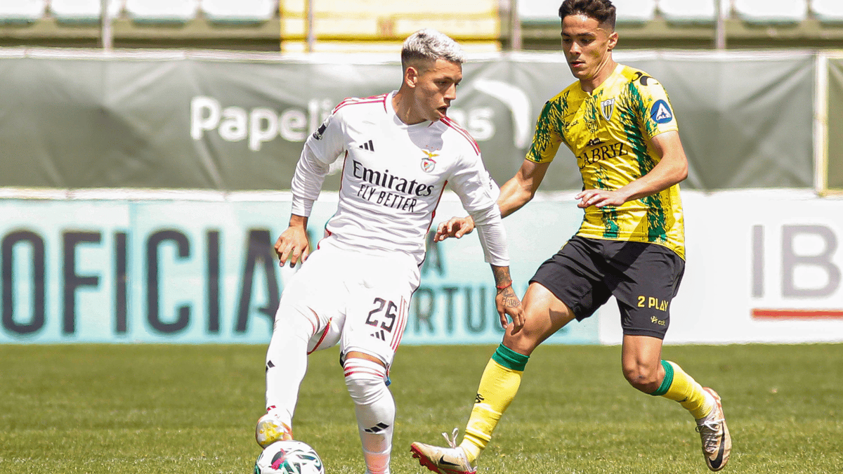 Gianluca Prestianni, Benfica