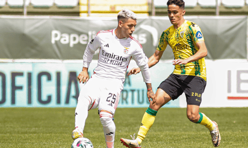 Gianluca Prestianni, Benfica