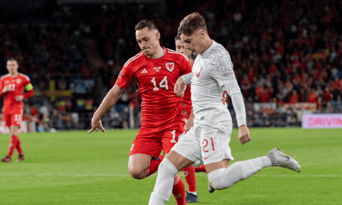 Connor Roberts, Wales, Nicola Zalewski
