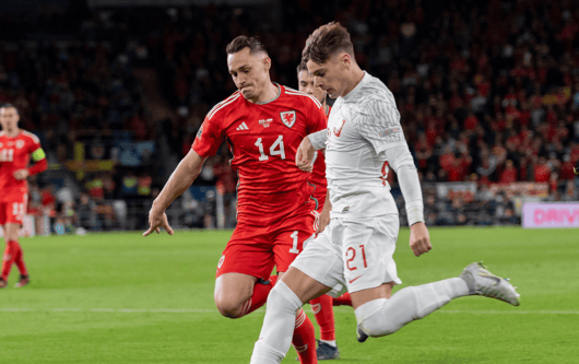 Connor Roberts, Wales, Nicola Zalewski