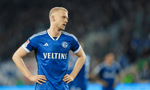 Timo Baumgartl, Schalke 04