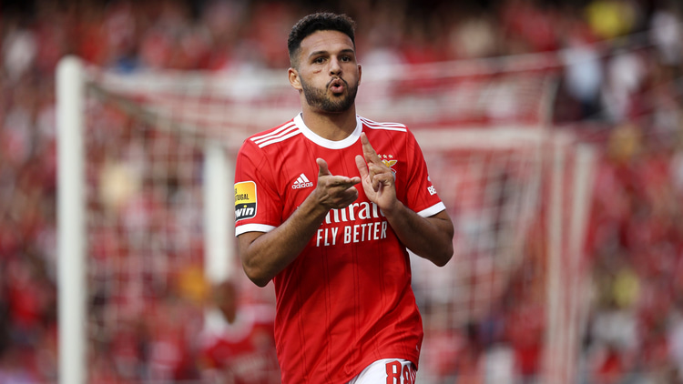 Goncalo Ramos in action for Benfica