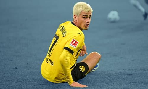 Giovanni Reyna, Dortmund, 2023/24