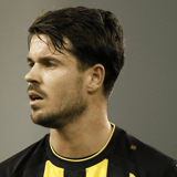Marco van Ginkel