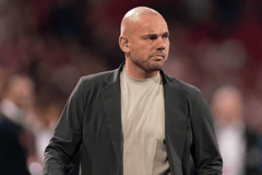 Wesley Sneijder, Ziggo Sport