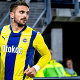Dusan Tadic, Fenerbahçe